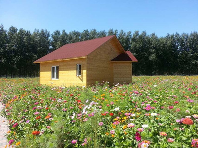 造型藝術(shù)與實(shí)用價(jià)值 花卉與蔬菜的種植造型新趨勢